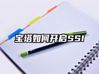 寶塔如何開啟SSI