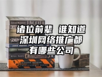 諸位前輩 誰知道深圳網(wǎng)絡(luò)推廣都有哪些公司