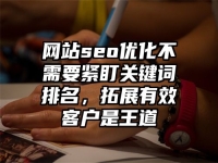 網(wǎng)站seo優(yōu)化不需要緊盯關(guān)鍵詞排名，拓展有效客戶是王道